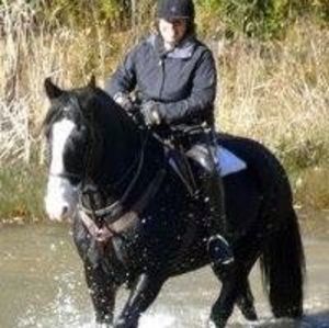 Meet your Posher, Marion